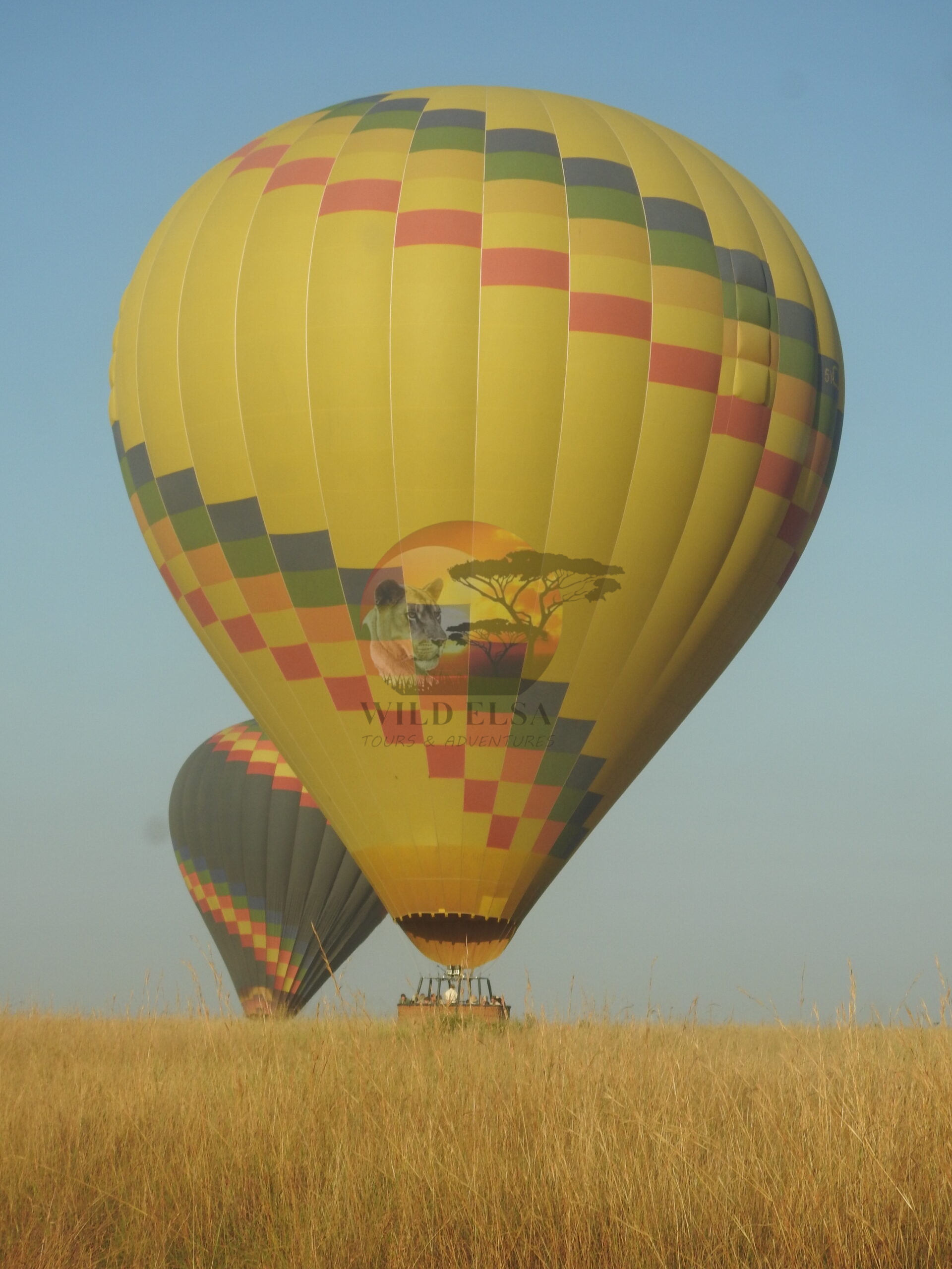 DSCN7175