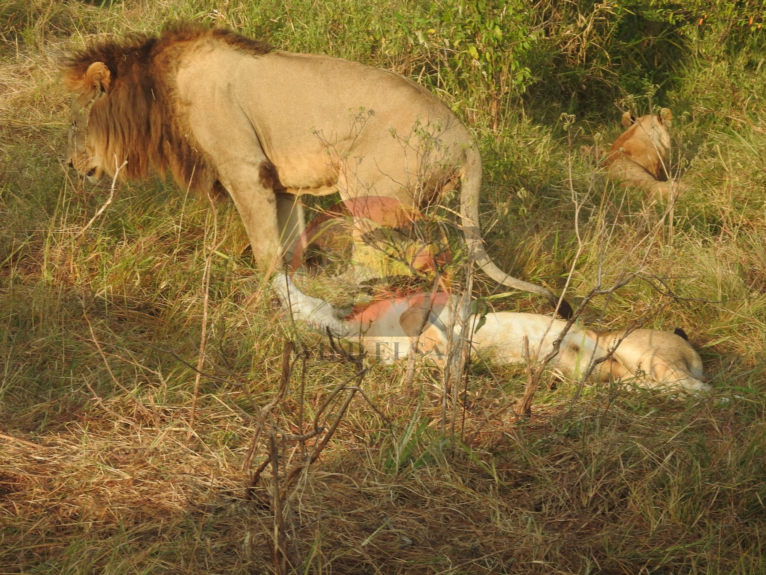 DSCN7511